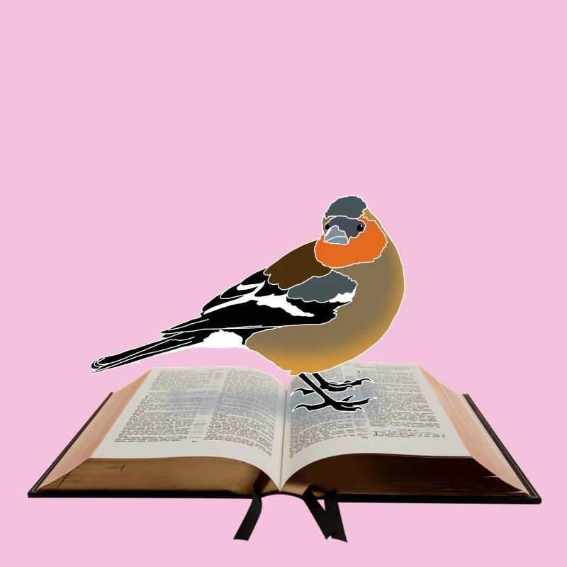 Chaffinch on book