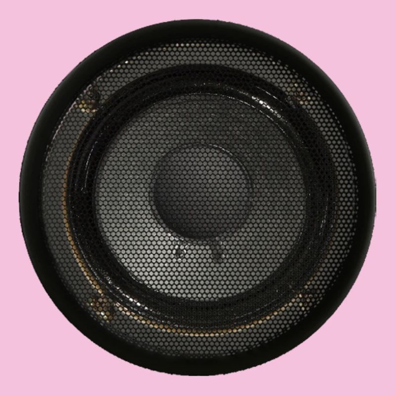 Speaker Box Speaker