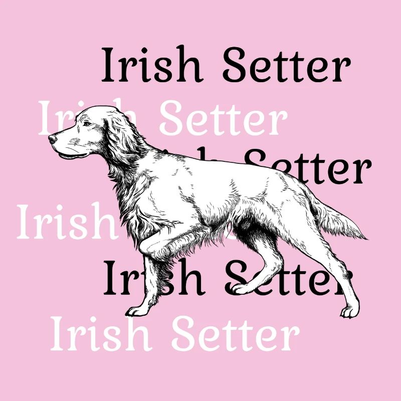 Irish Setter ci-dessus