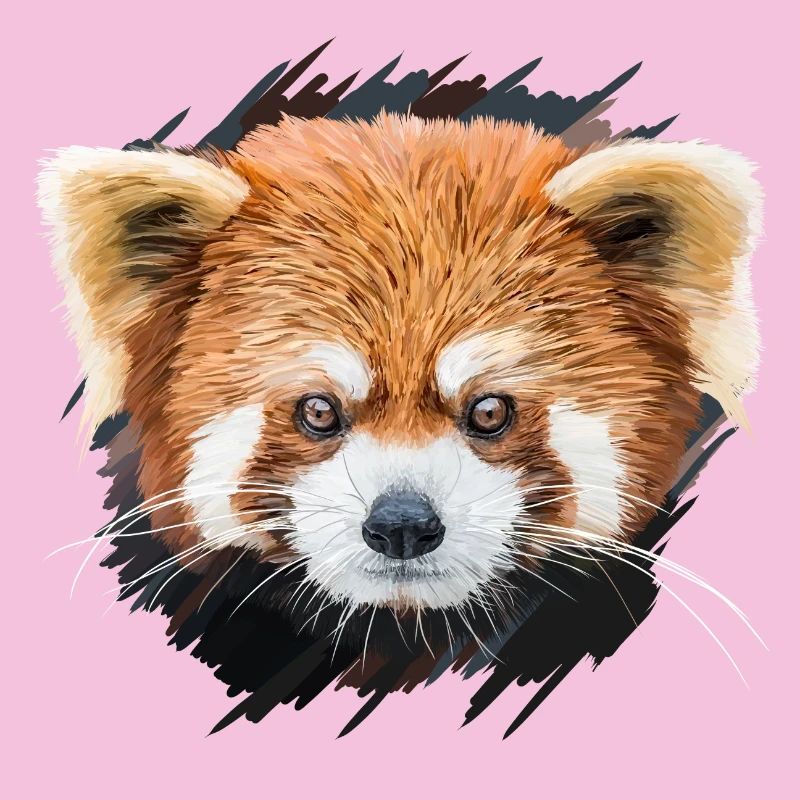 Roter Panda