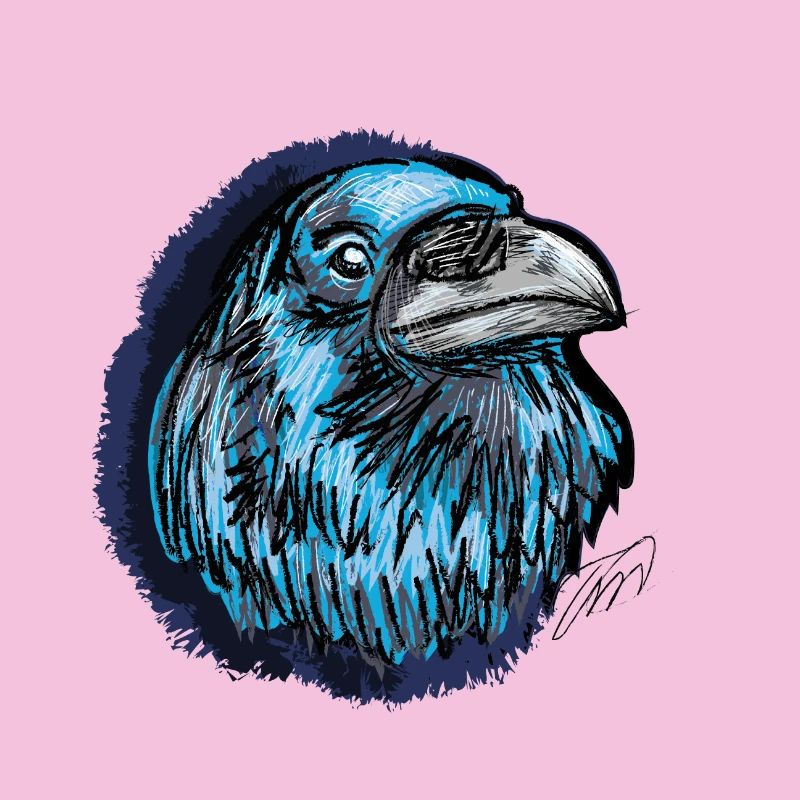 Der blaue Rabe, Tier Geschenke