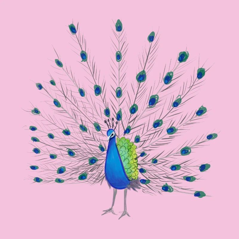 Peacock Feather Art