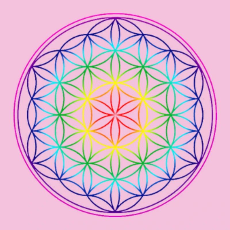 REGENBOGENBLUME DES LEBENS