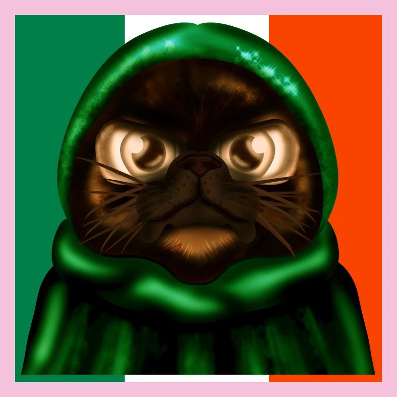 DRAPEAU IRLANDAIS - IRLANDE - CHAT MIGNON