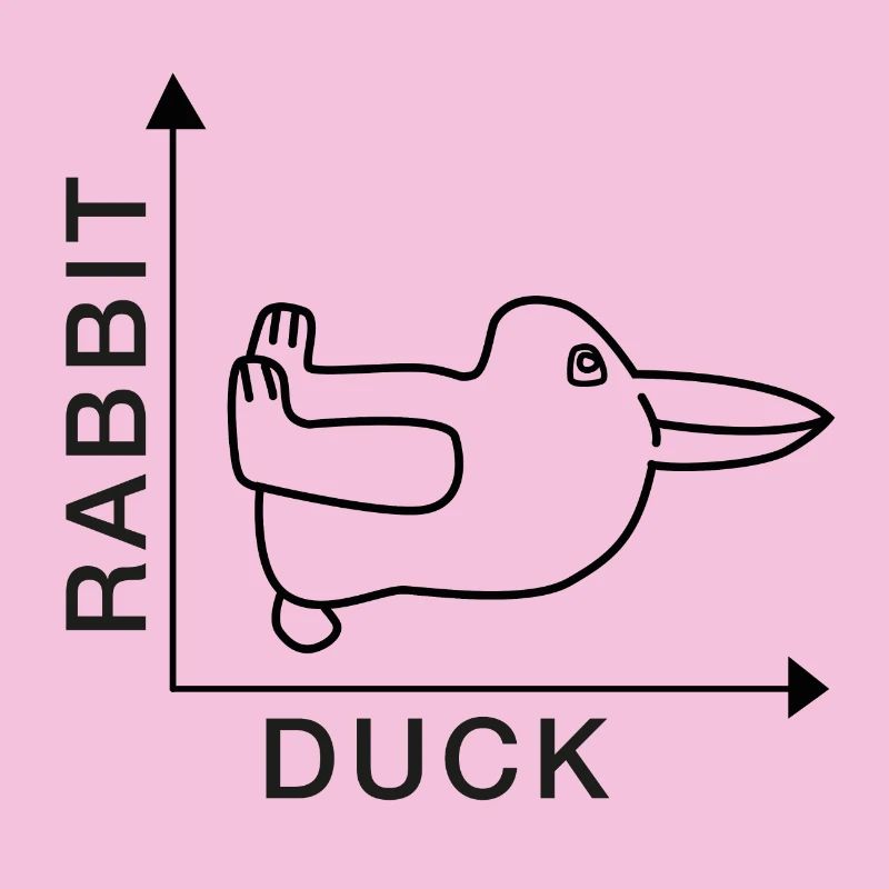 Rabbit - Duck - Nerdshirt