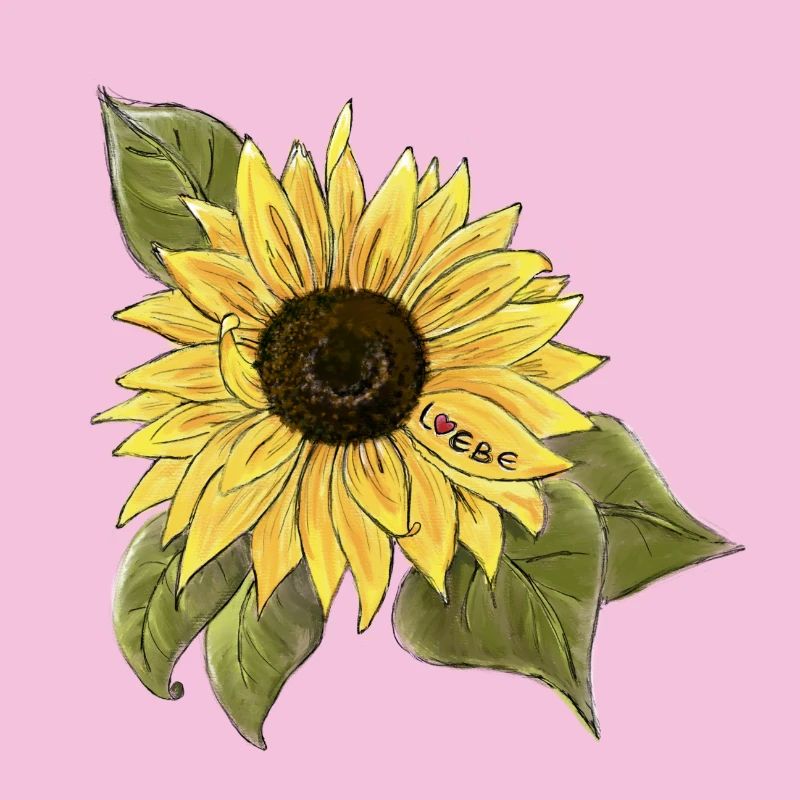 Sonnenblume 🌻