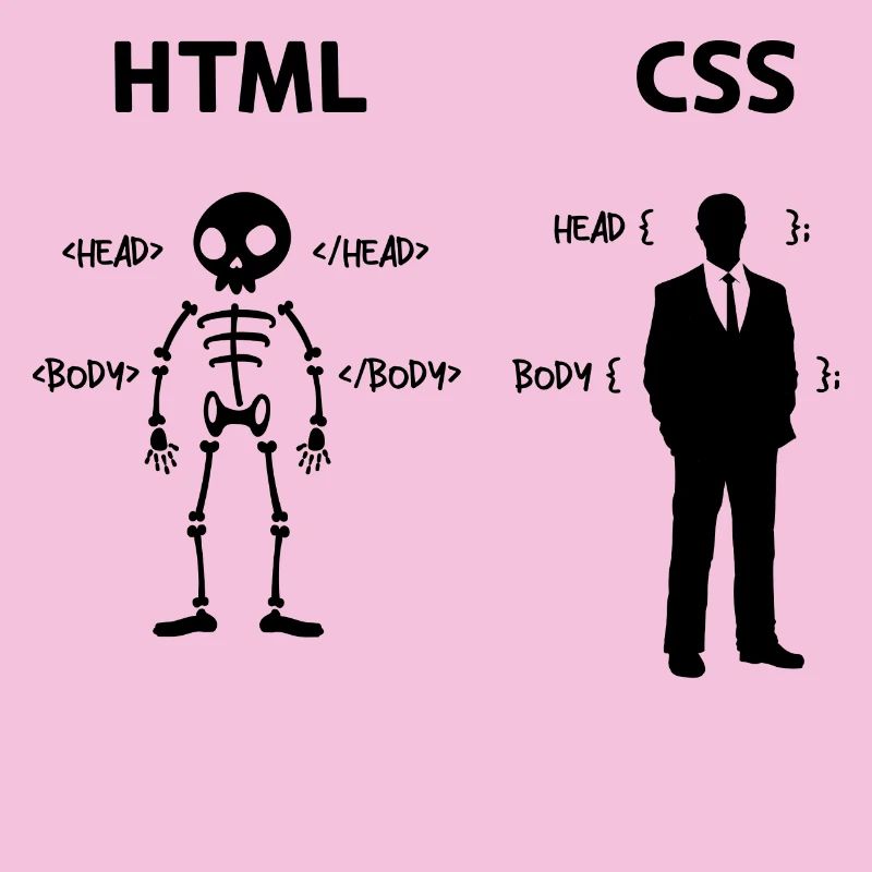 Developer Programmierer Coden Css Skripting Code