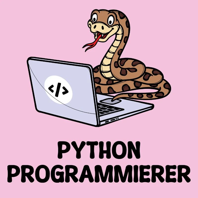 Déclaration du développeur de code informatique du programmeur