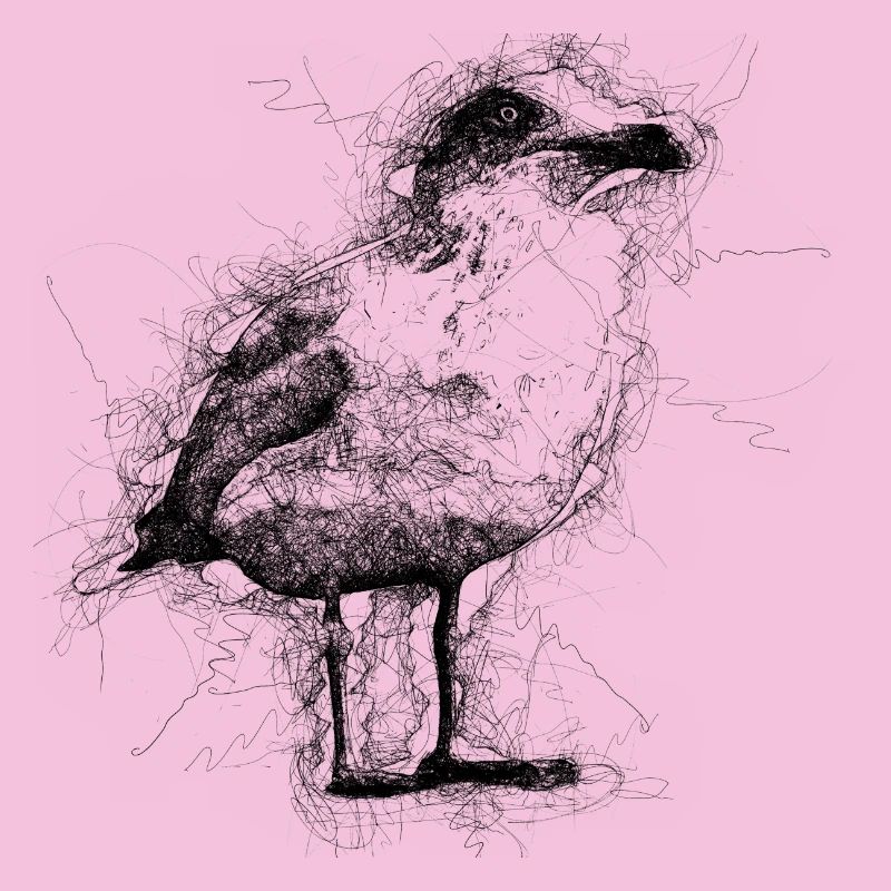 Mouette