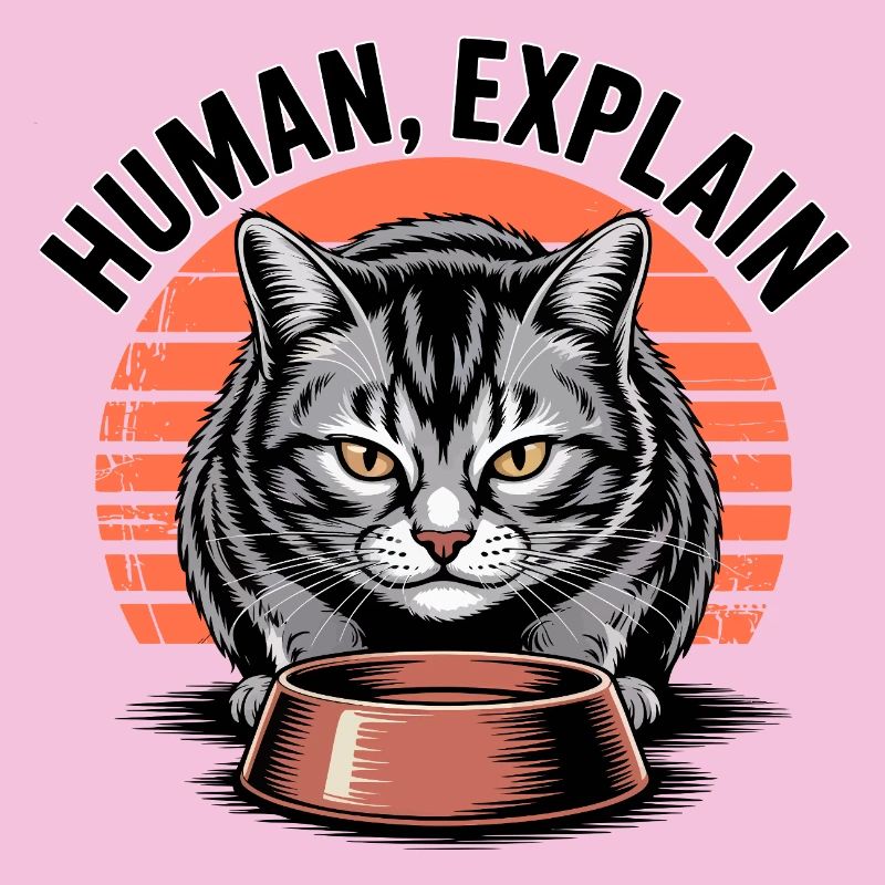 Mensch Explain Katze