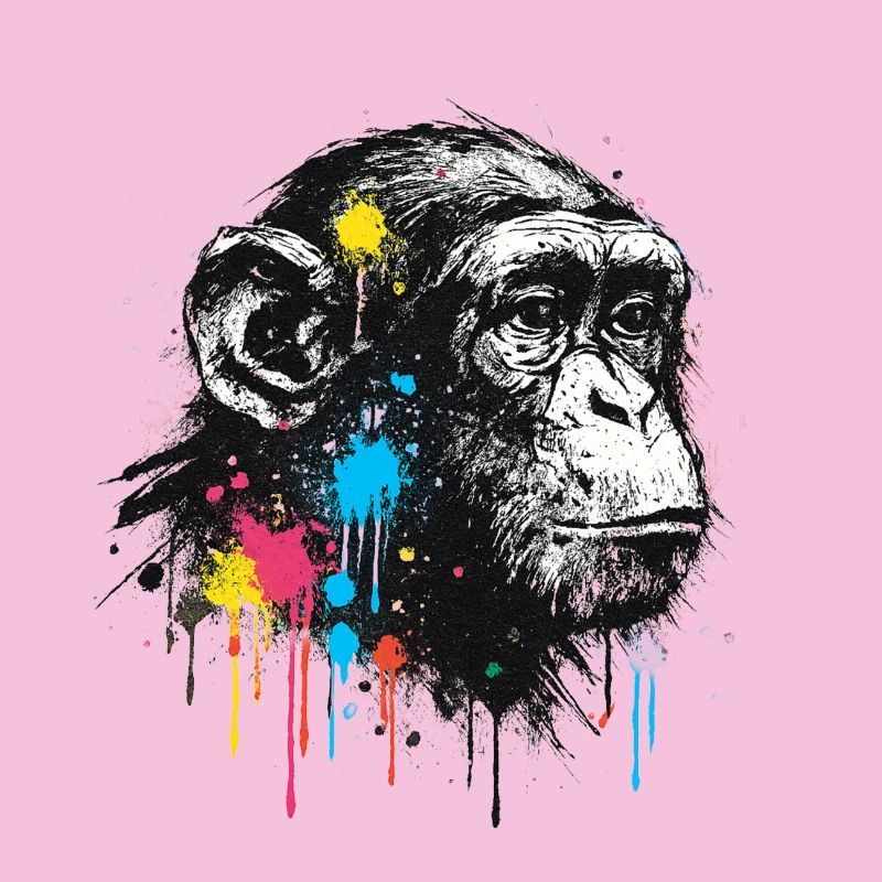 Chimpanzé éclaboussure coloré