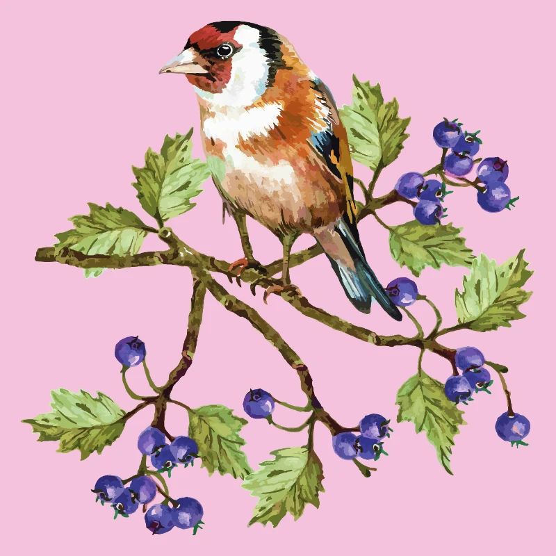Bunter Vogel