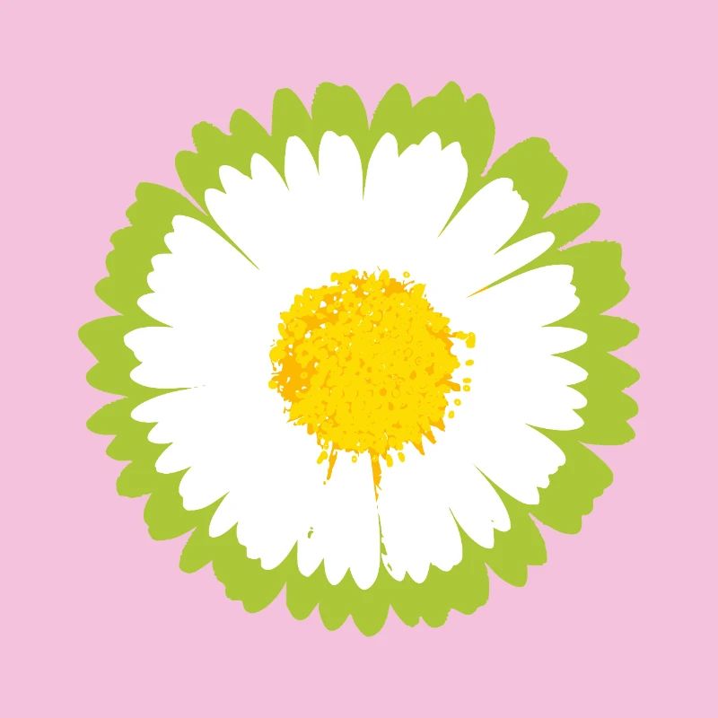 Sunny Daisy Pop Blume
