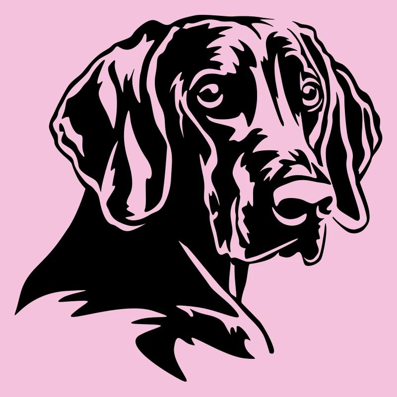 Weimaraner Head