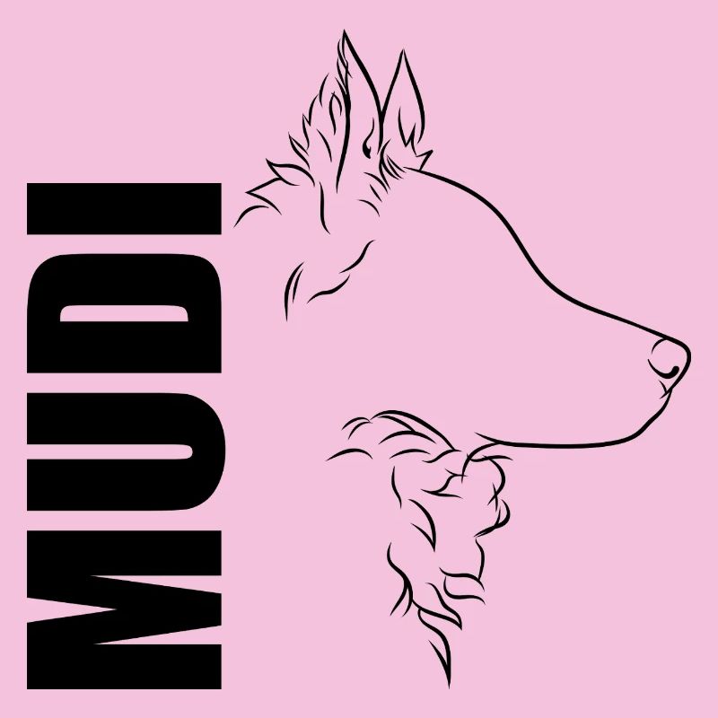 Mudi Profile Chien Chien Wilsigns