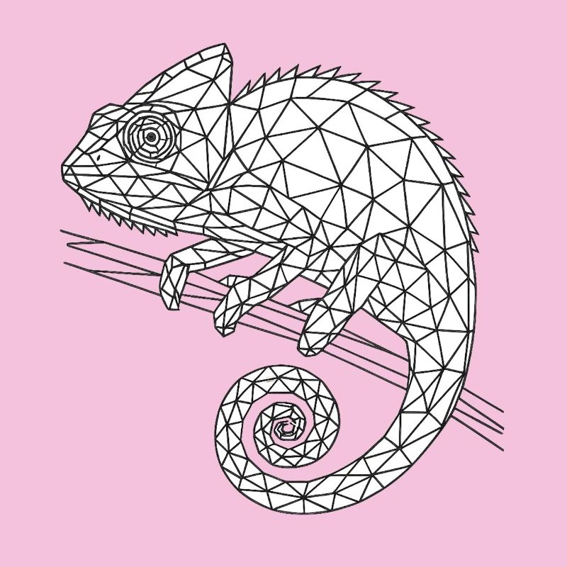 Geometric Chameleon Wireframe