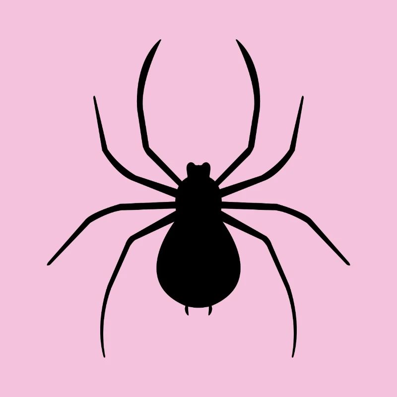 araignée