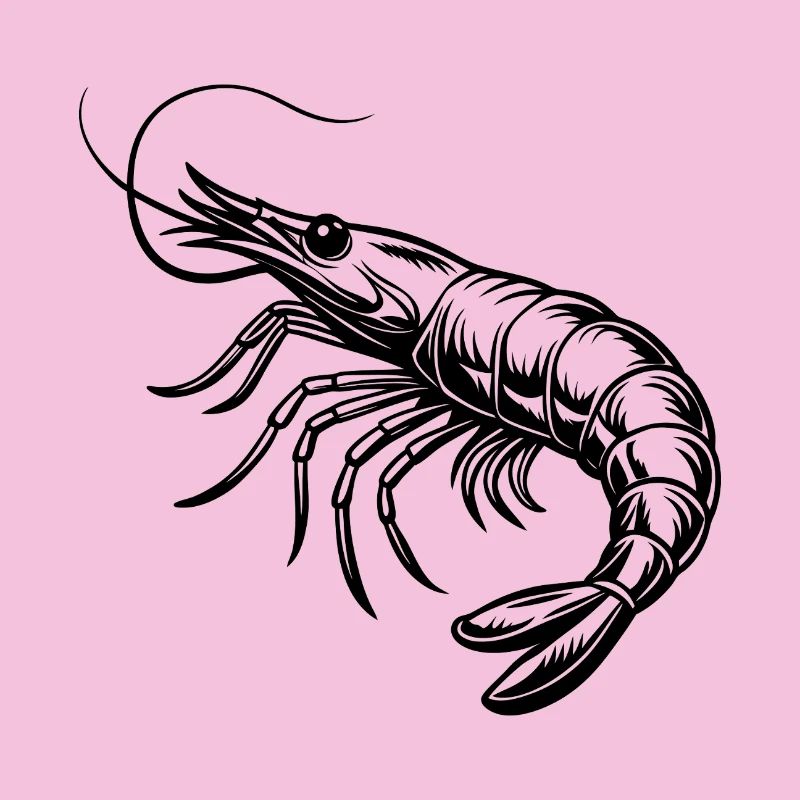 Shrimp