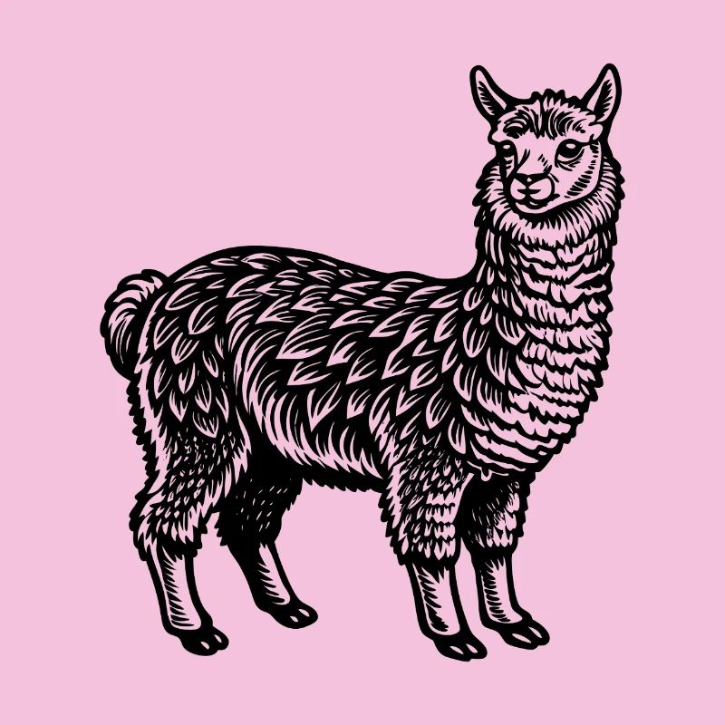 Alpaca