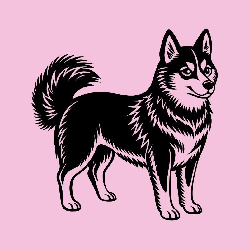 Alaska Klee Kai
