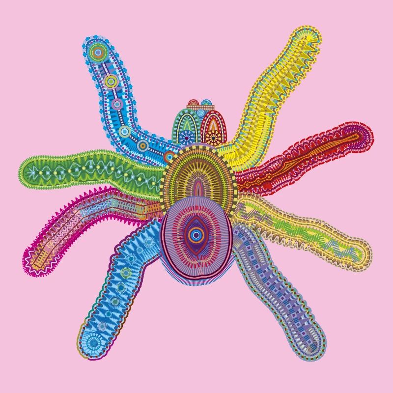 Deep Sea Spider