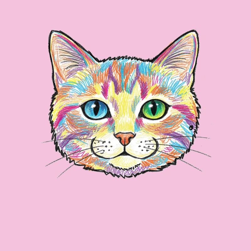 Motif d’animal coloré de chat