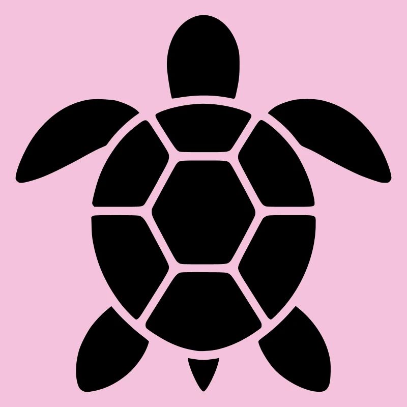 Schildkröte