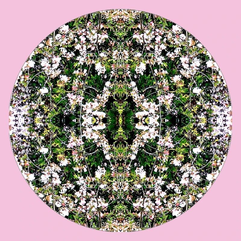 Source du Mandala de la Nature à Nuremberg