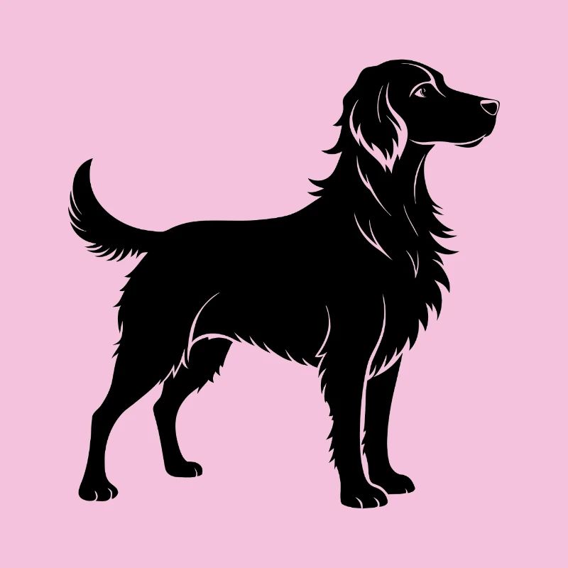 Brittany Dog
