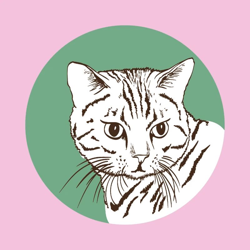 Chat