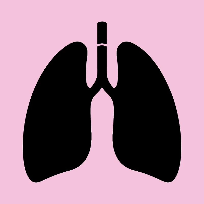 Lungs
