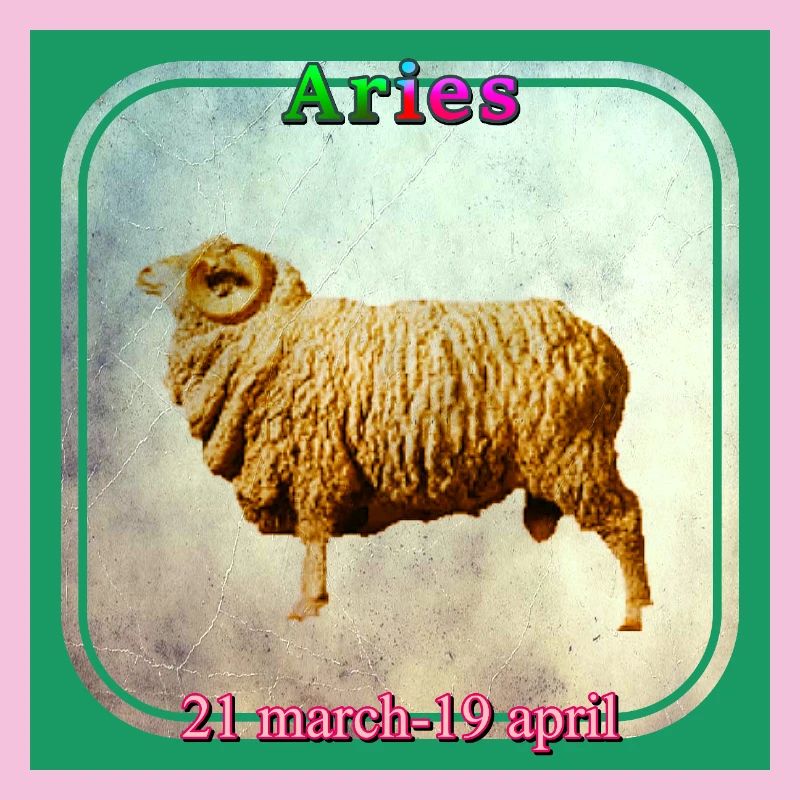 Widder