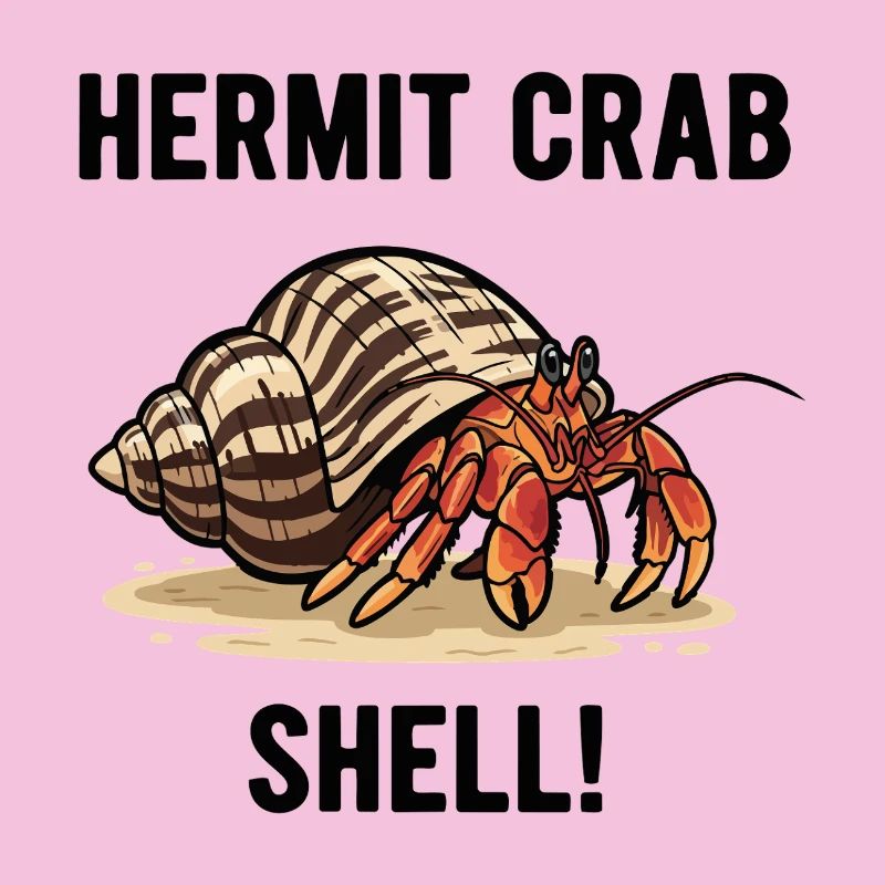 Bernard-l'ermite Shell Hermit Crab