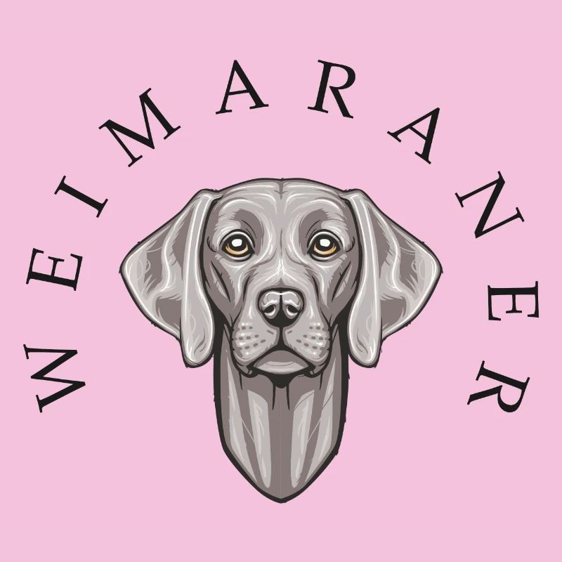 Weimaraner
