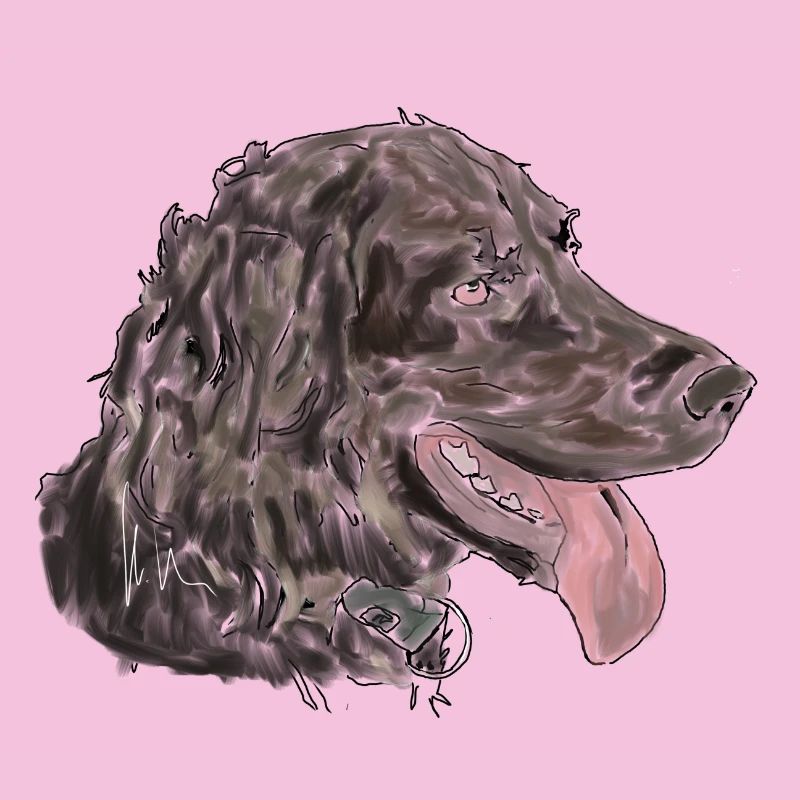 Quaildog