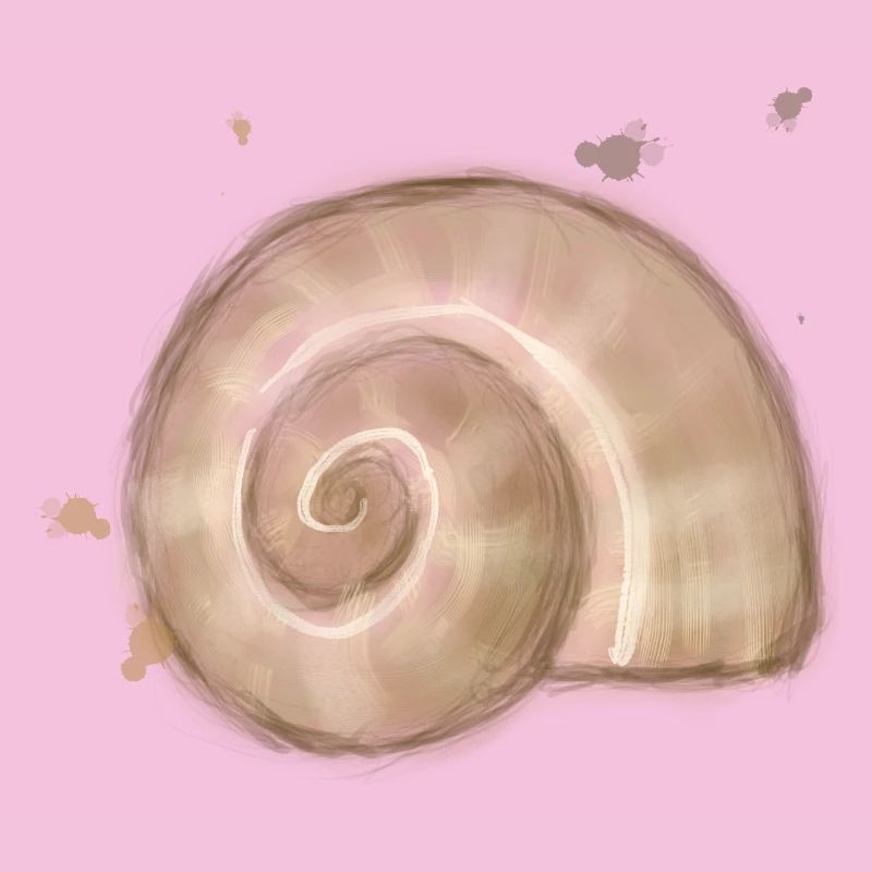 Snail Shell – Nature’s Spiral Illustration