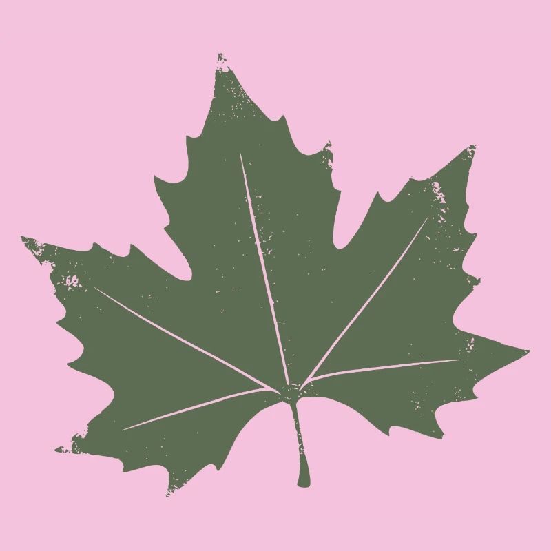 Feuille d’érable verte