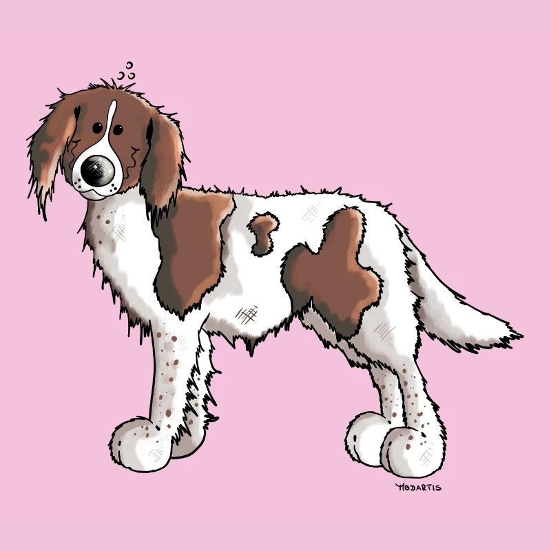 Knuffiger Münsterländer