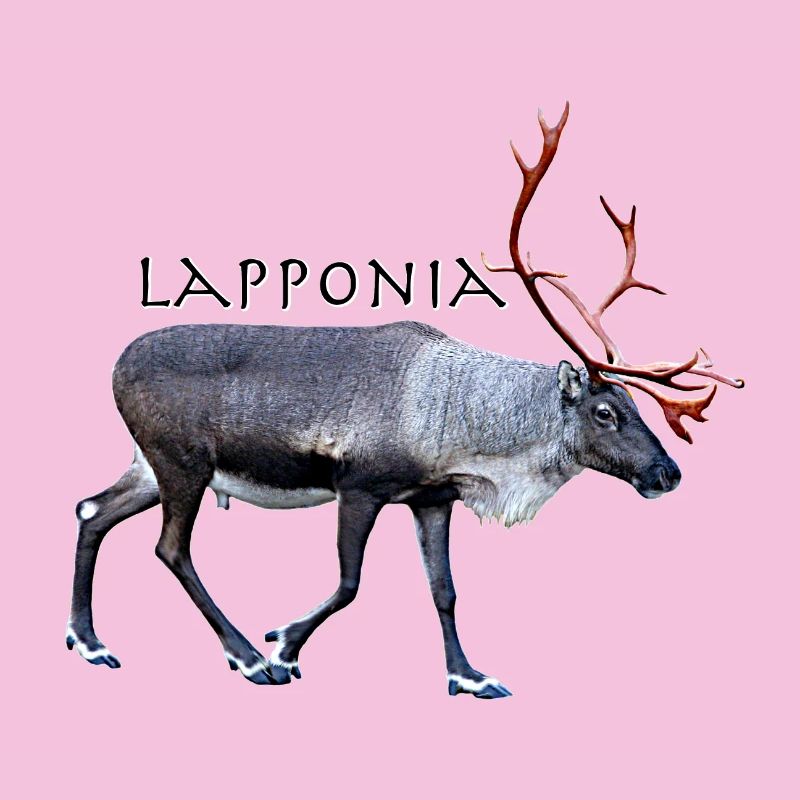 Lapponia
