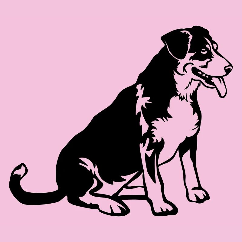 Entlebucher Sennenhund