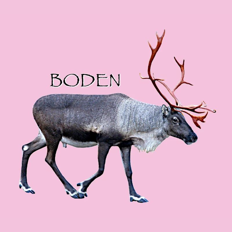 Boden