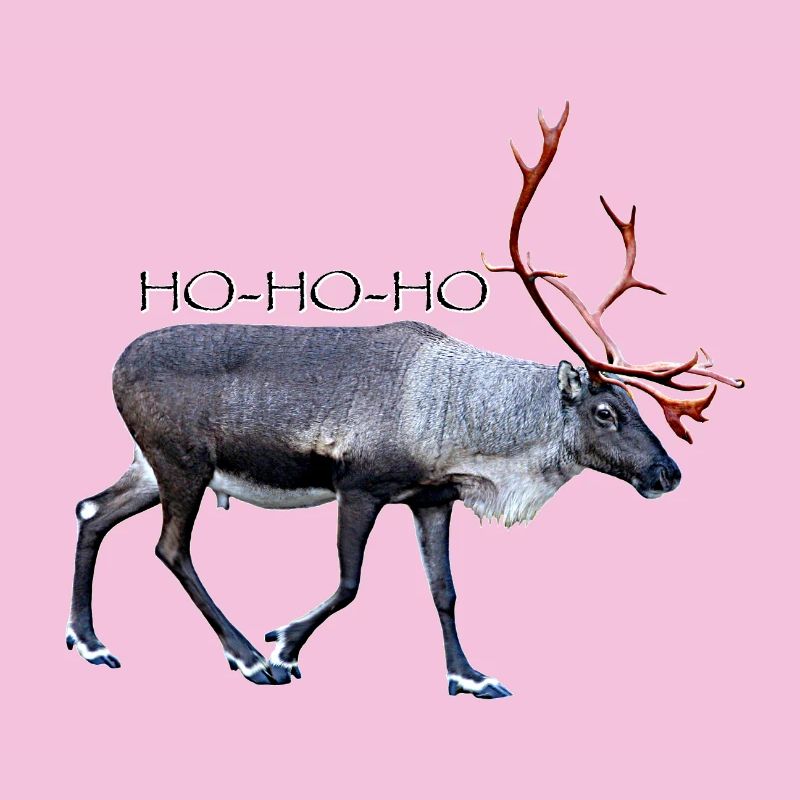 HOHOHO