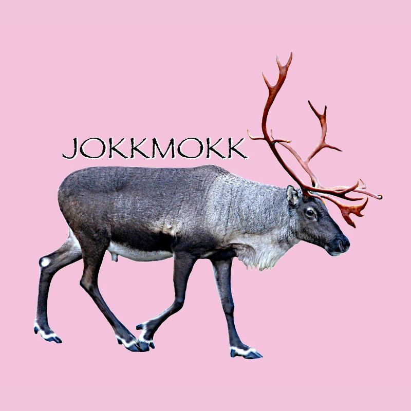 Jokkmokk
