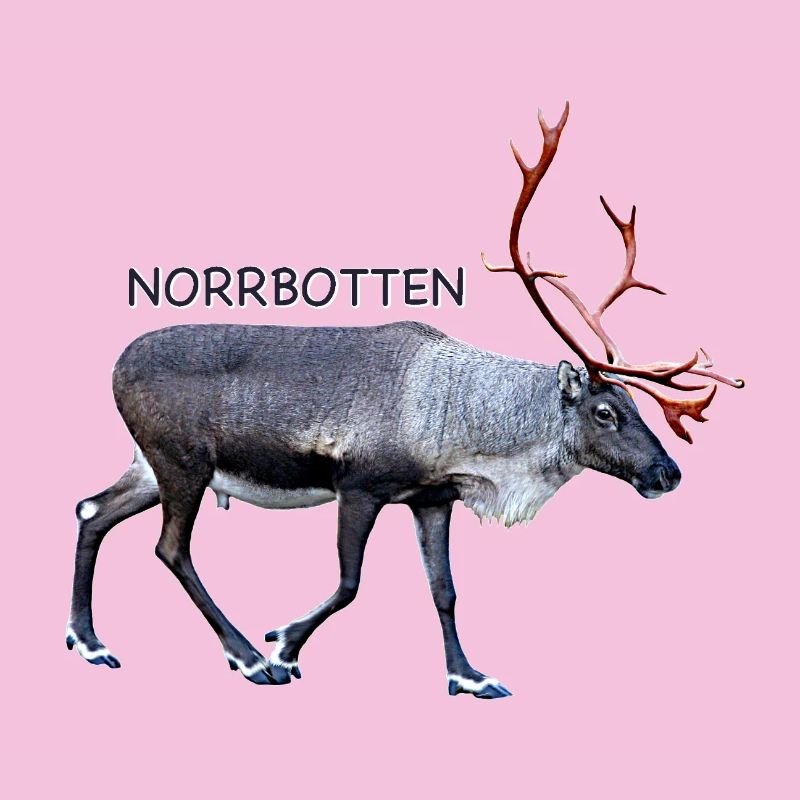 Norrbotten