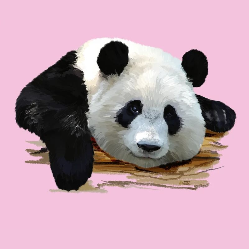 panda