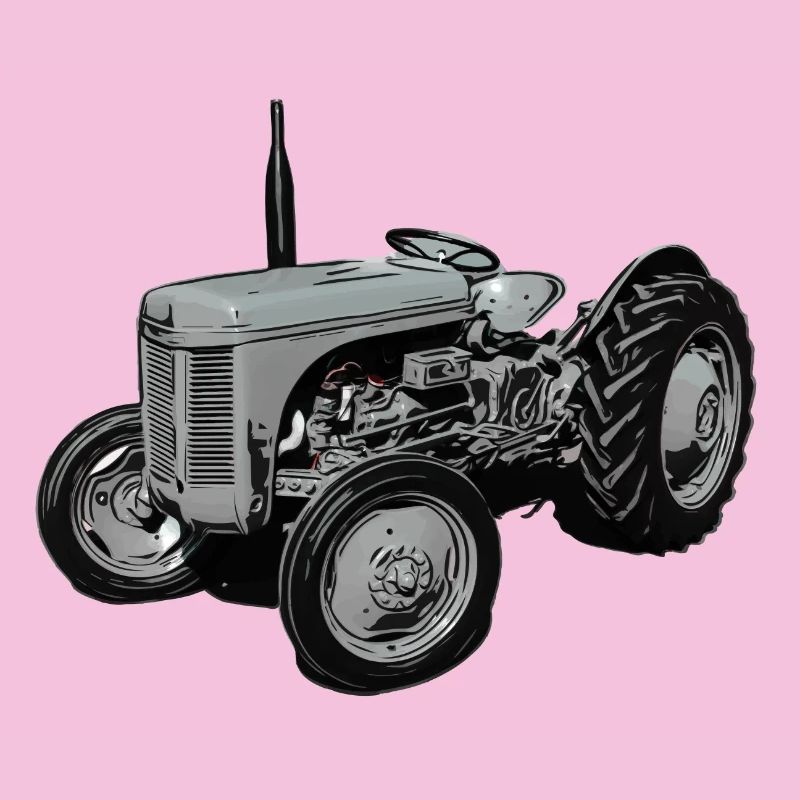 Old Fergie TE20 Tractor
