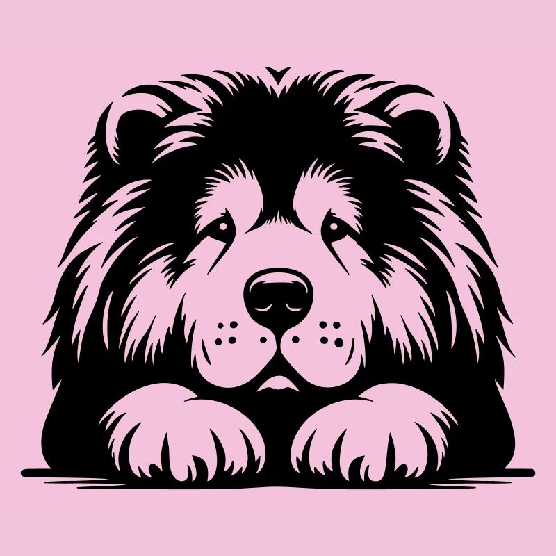 Chow Chow Kopf mit Pfoten
