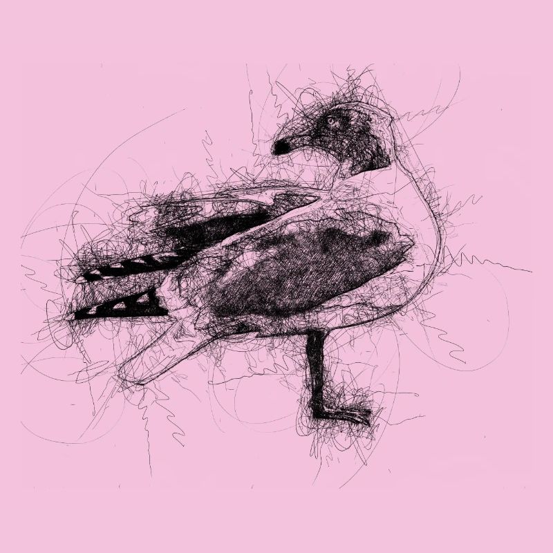 Möwe