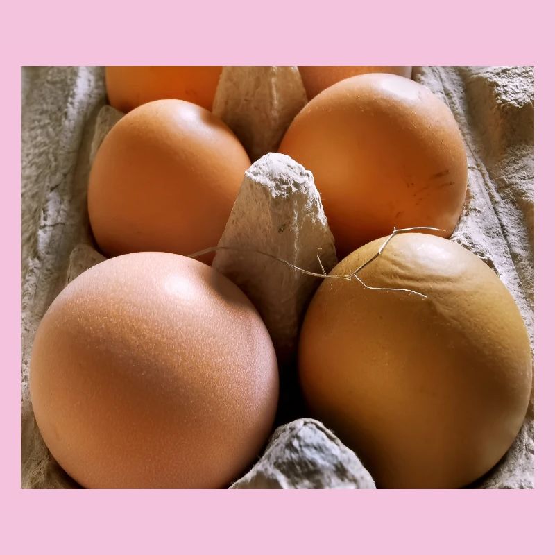 Eier