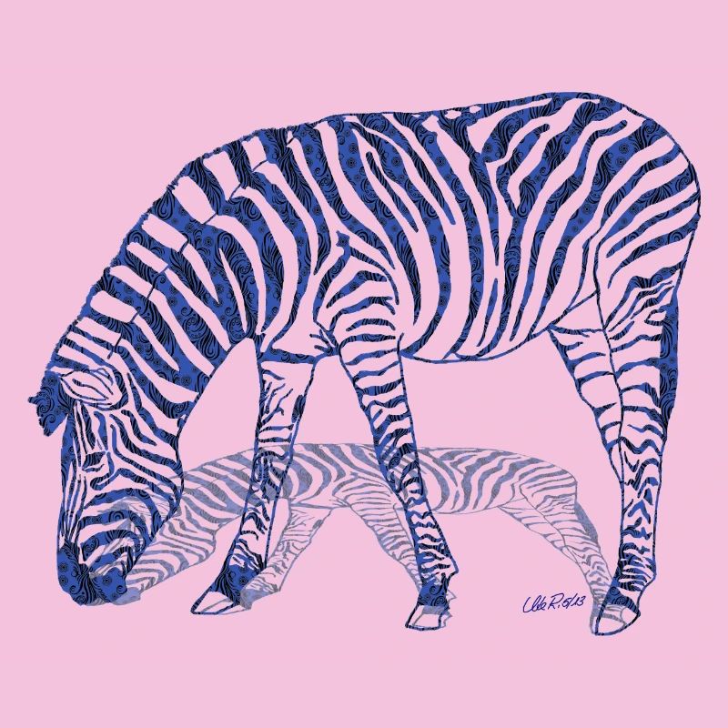 Zebra with zebra shadow